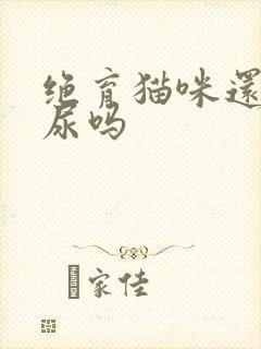 绝育猫咪还会乱尿吗