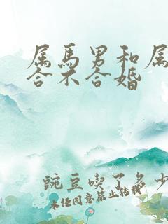 属马男和属牛女合不合婚