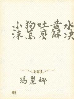 小狗吐黄水带泡沫怎么解决