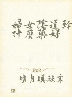 妇女阴道干涩吃什么药好