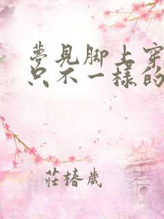 梦见脚上穿了两只不一样的鞋