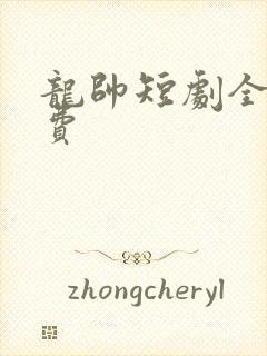 龙帅短剧全集免费