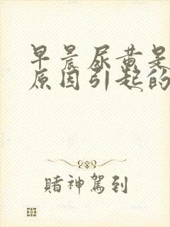 早晨尿黄是什么原因引起的