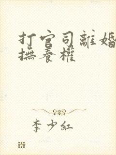 打官司离婚争夺抚养权