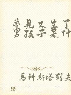 梦见又生了一个男孩子是什么意思