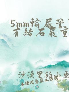 5mm输尿管里有结石严重吗