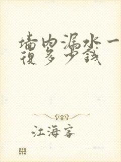 墙内漏水一般修复多少钱