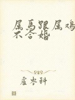 属马跟属鸡的合不合婚