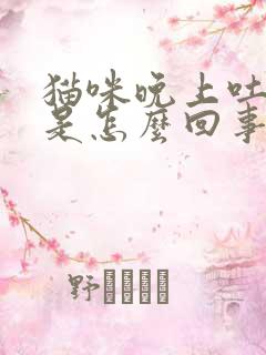 猫咪晚上吐黄水是怎么回事