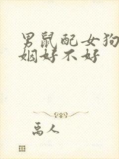 男鼠配女狗的婚姻好不好