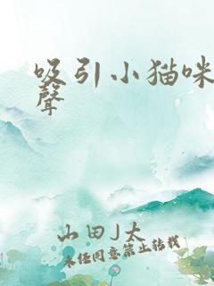 吸引小猫咪的叫声