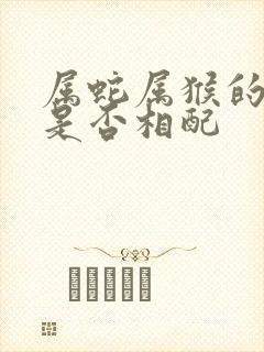 属蛇属猴的婚姻是否相配