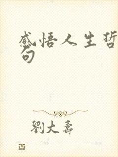 感悟人生哲理短句