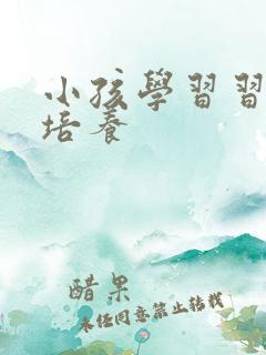 小孩学习习惯的培养