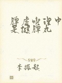 脾虚吃理中丸还是健脾丸