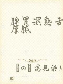 脾胃湿热舌苔黄厚腻