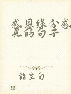 感恩缘分感恩遇见的句子