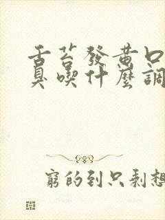 舌苔发黄口苦口臭吃什么调理