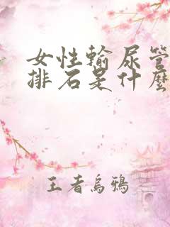 女性输尿管结石排石是什么感觉