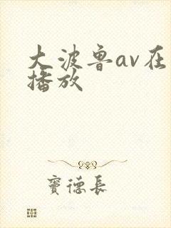 大波鲁av在线播放