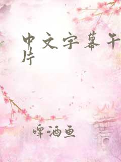 中文字幕午夜看片