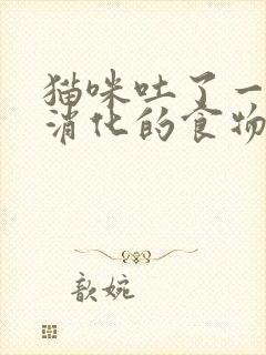 猫咪吐了一堆没消化的食物