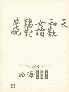 摩羯女和天秤女配对指数