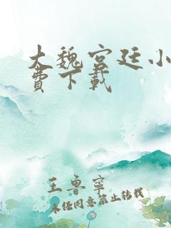 大魏宫廷小说免费下载