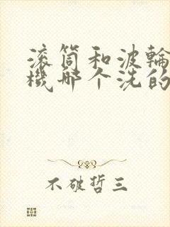 滚筒和波轮洗衣机哪个洗的比较干净