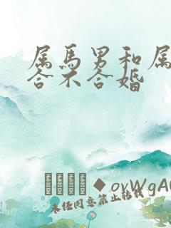 属马男和属狗女合不合婚