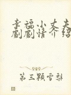 幸福小丈夫电视剧剧情介绍