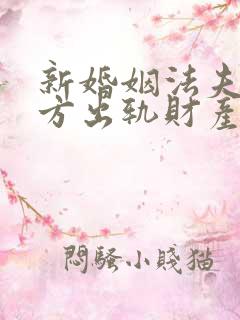 新婚姻法夫妻一方出轨财产怎么分割