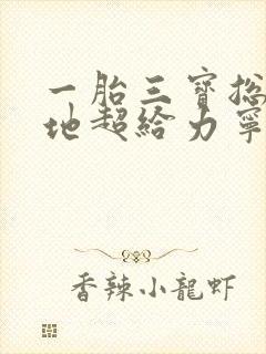 一胎三宝总裁爹地超给力宁晚晚