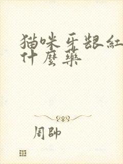 猫咪牙龈红肿吃什么药