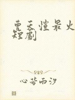 曹天恺最火十部短剧