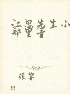 江思先生小说在哪里看