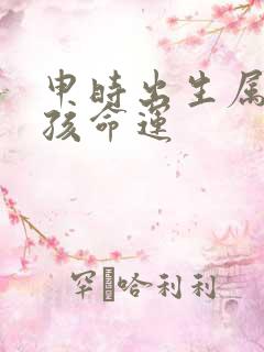 申时出生属龙男孩命运