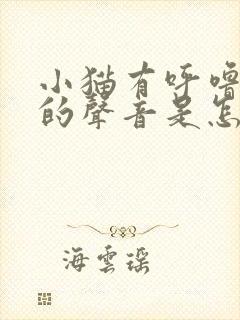 小猫有呼噜呼噜的声音是怎么了