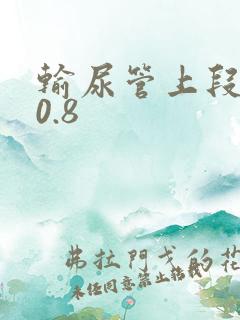 输尿管上段结石0.8