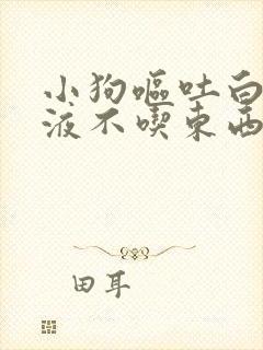 小狗呕吐白色粘液不吃东西怎么回事