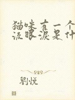 猫咪有一个眼睛流眼泪是什么原因