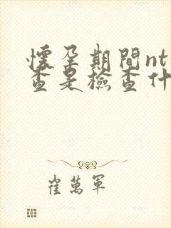 怀孕期间nt检查是检查什么