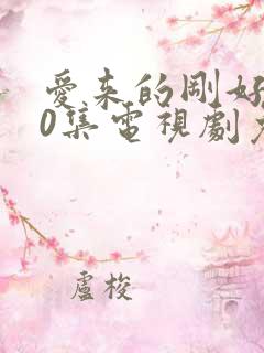 爱来的刚好第60集电视剧免费观看