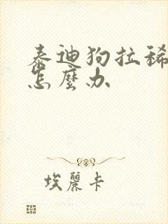 泰迪狗拉稀带血怎么办