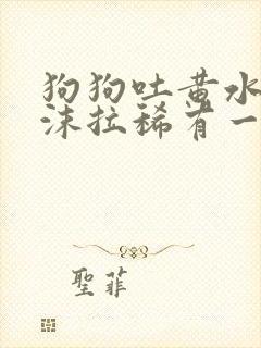 狗狗吐黄水带泡沫拉稀有一点带血