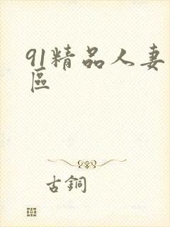 91精品人妻一区