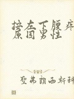 按左下腹疼痛的原因男性