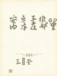 安卓手机app内存在哪里看