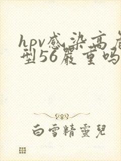 hpv感染高危型56严重吗