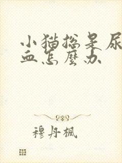 小猫总是尿还带血怎么办